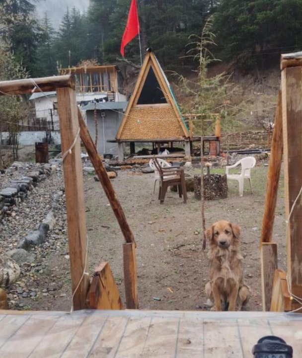 Photo of Others in Sangla