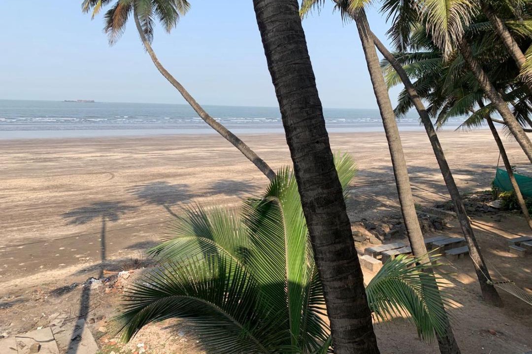 Photo of Others in Murud