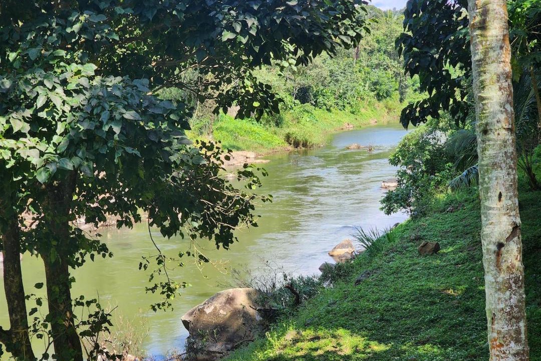 Photo of Others in Elappara