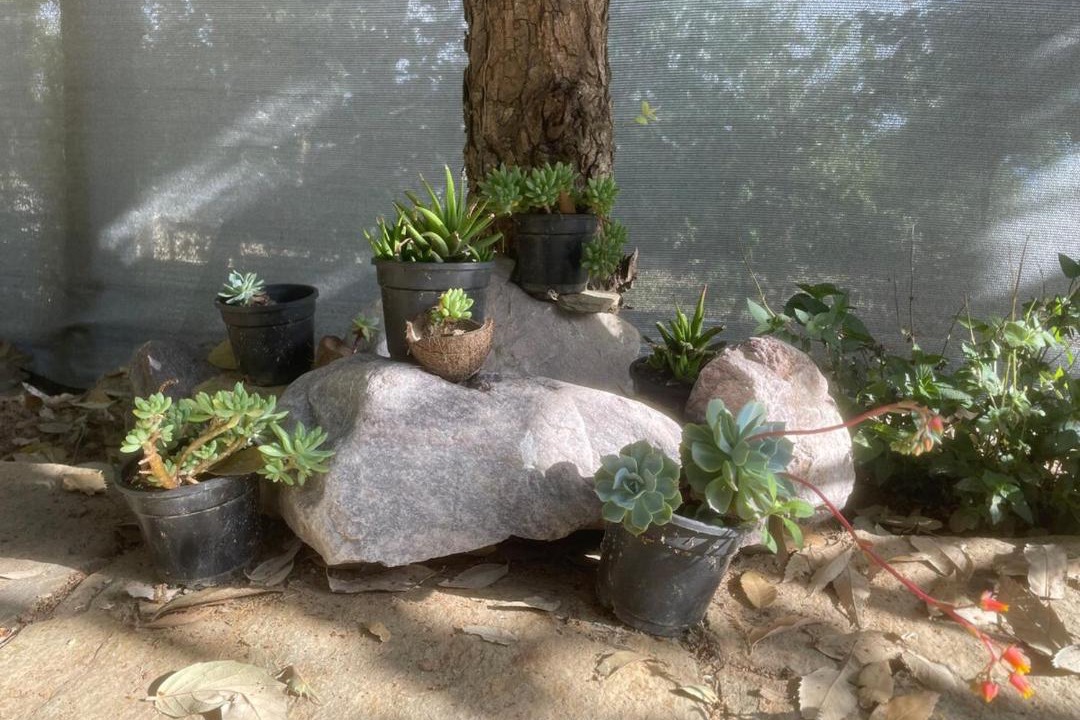 Photo of Outdoor in Kaul