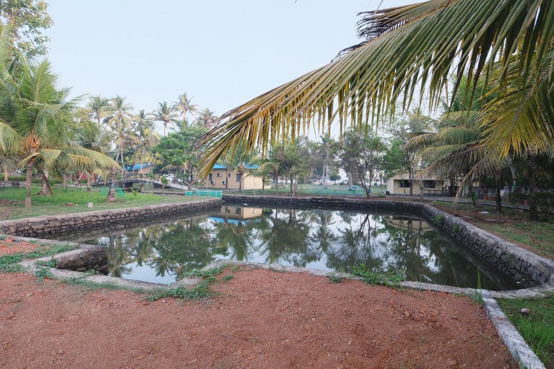 Photo of Others in Andhakaranazhy