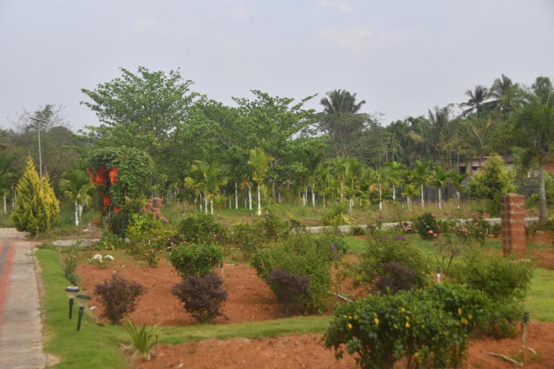 Photo of Others in Tirthalli