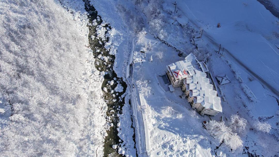 Photo of Others in Manali