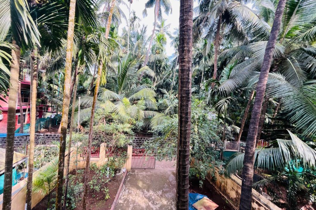 Photo of Others in Alibaug