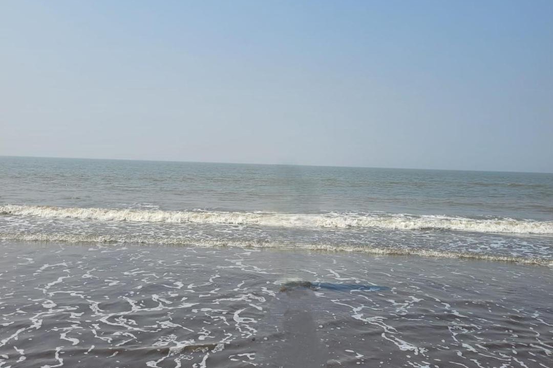 Photo of Others in Alibaug