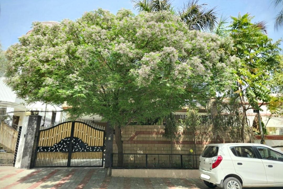 Photo of Others in Ranjit Avenue