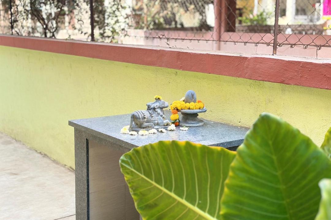 Photo of Others in Nashik