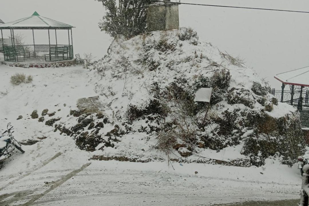 Photo of Others in Dhanaulti