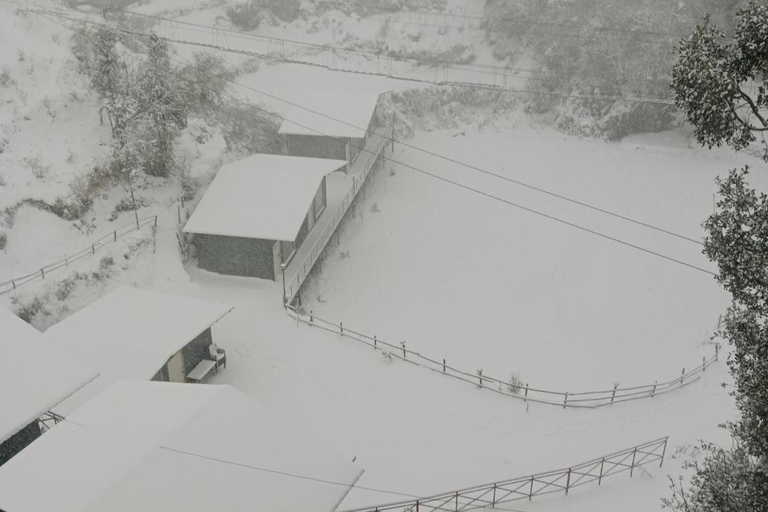 Photo of Others in Dhanaulti
