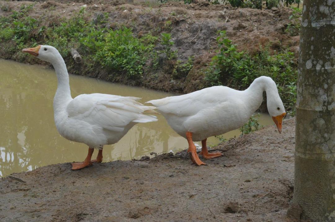 Photo of Others in Vayittiri
