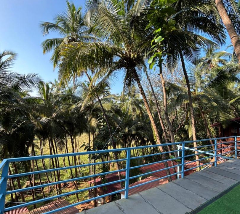 Photo of Others in Agonda