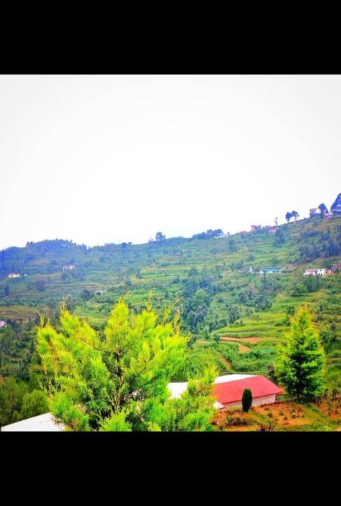 Photo of Others in Bhimtal
