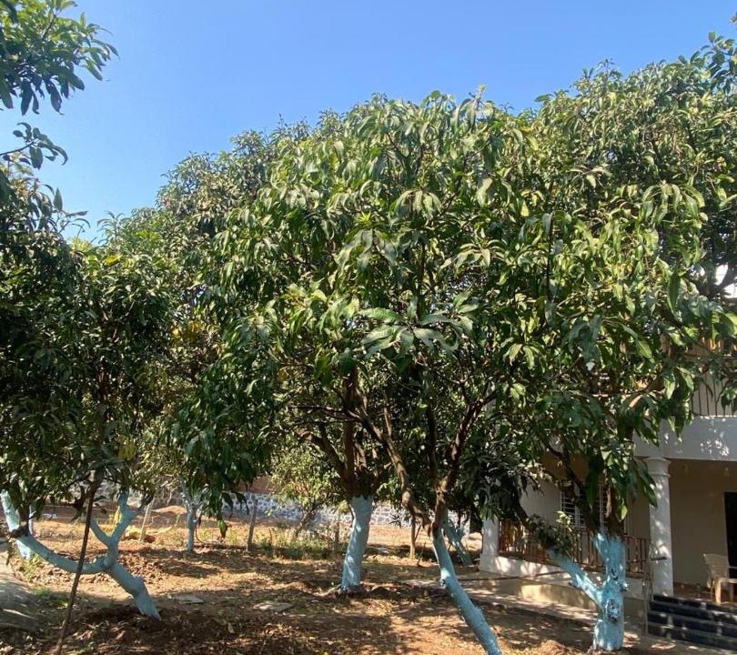 Photo of Others in Pune