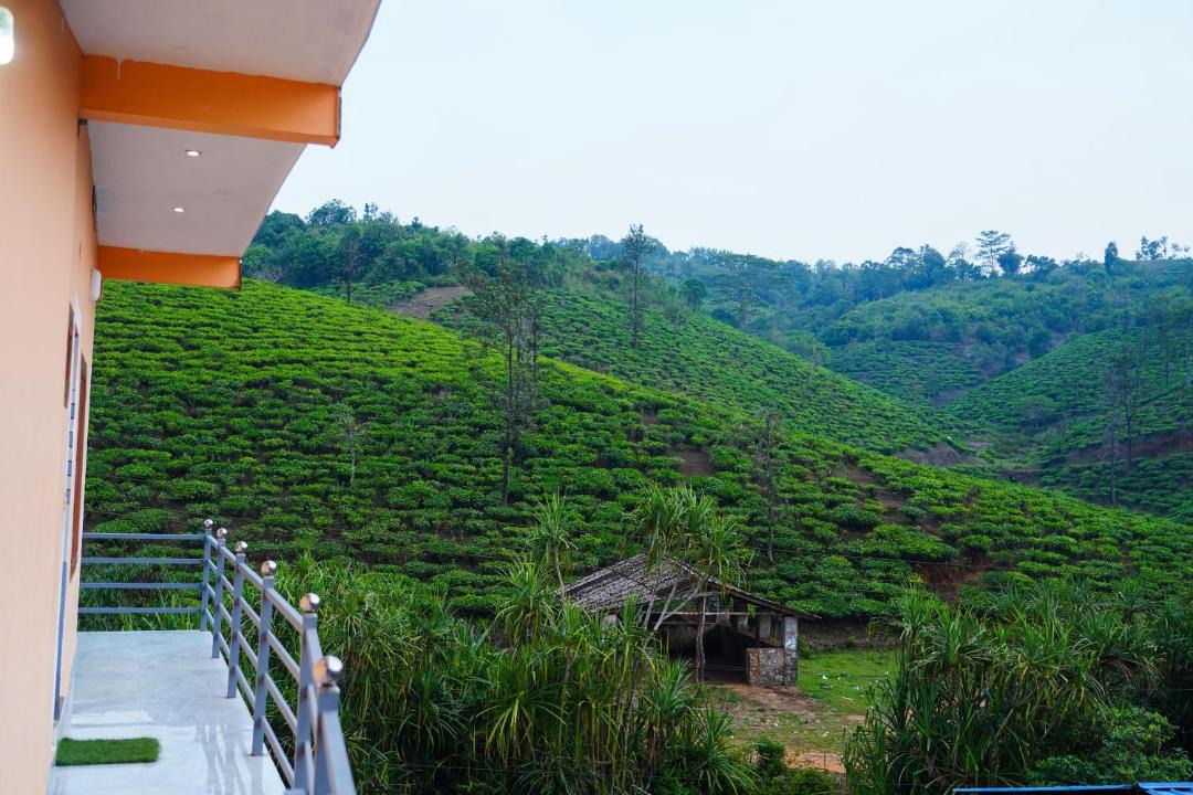 Photo of Others in Elappara
