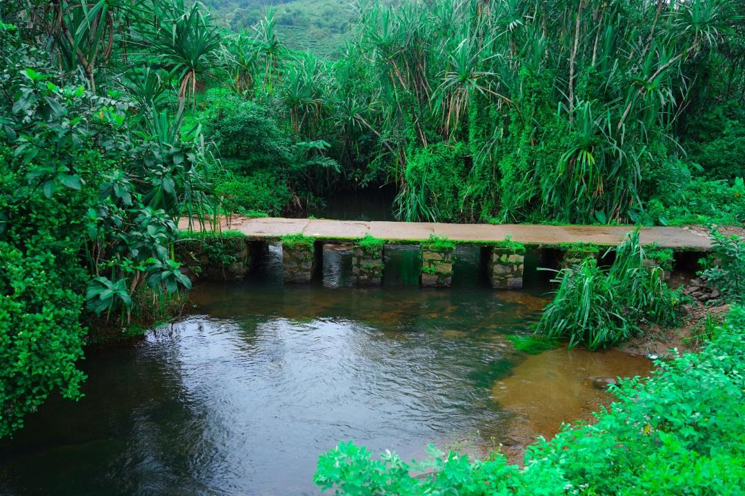 Photo of Others in Elappara