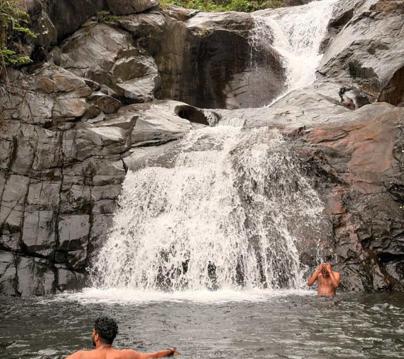 Photo of Others in Talipparamba