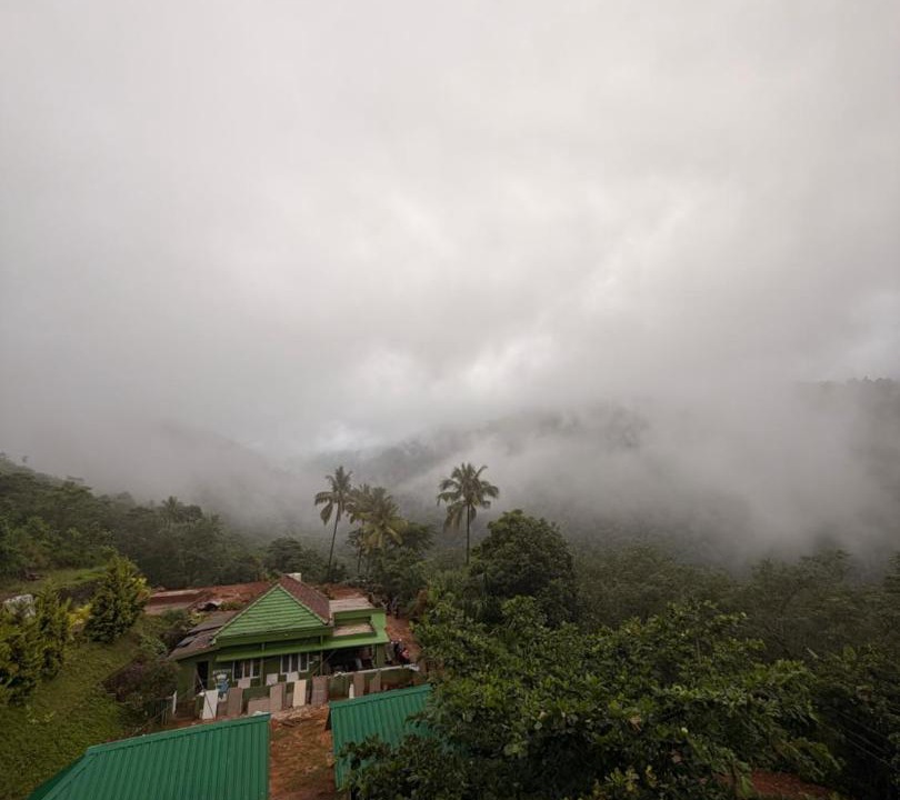 Photo of Others in Talipparamba