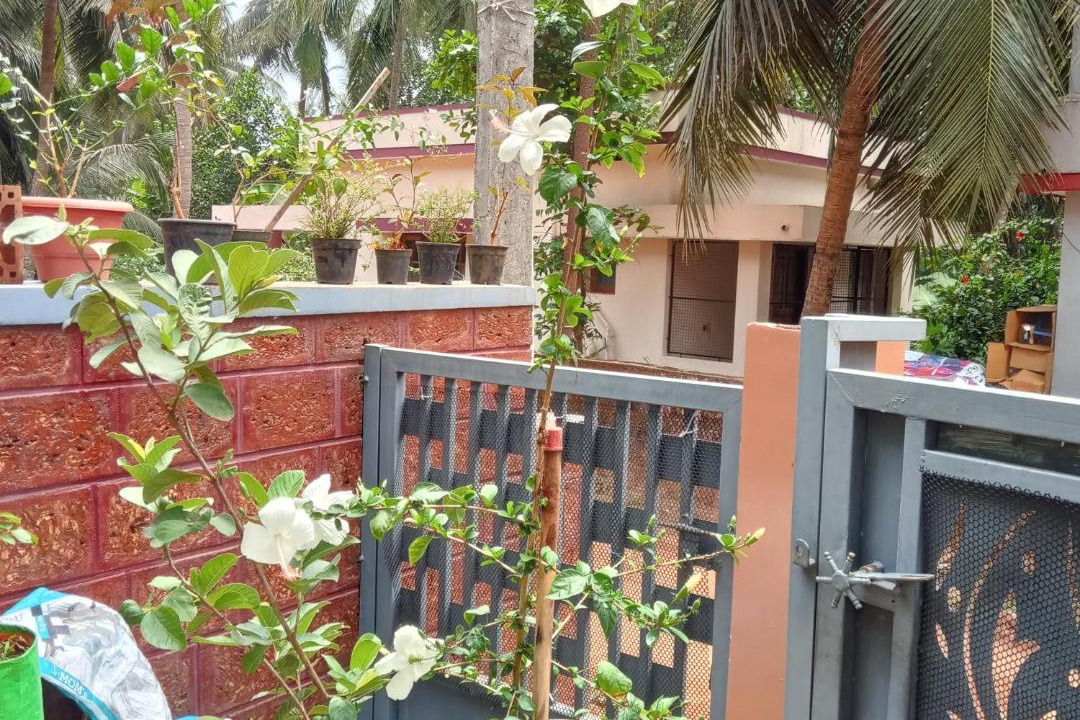 Photo of Others in Adyar