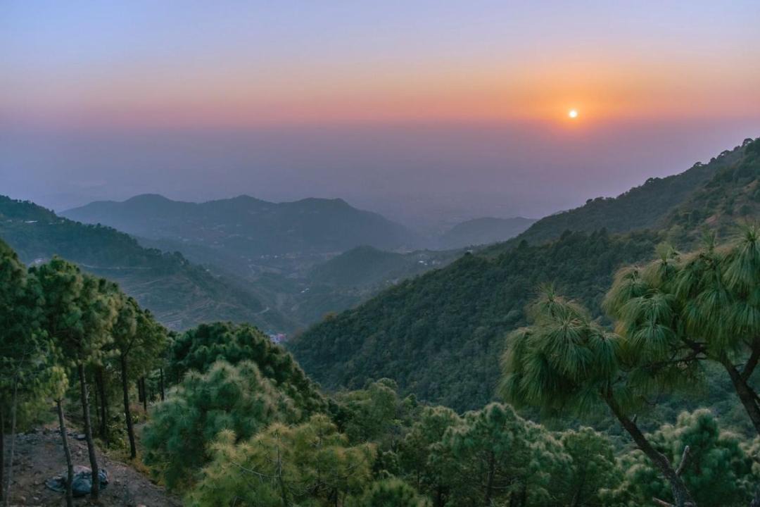 Photo of Others in Kasauli