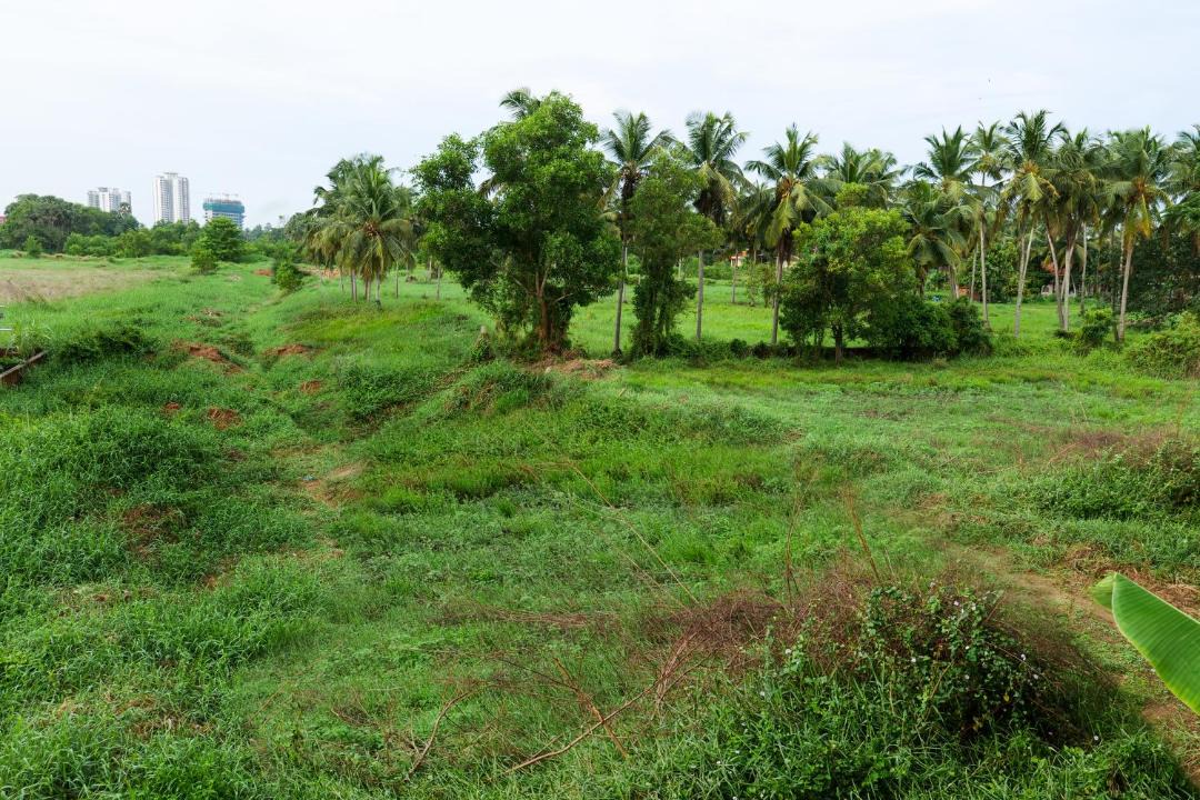 Photo of Others in Mangalore