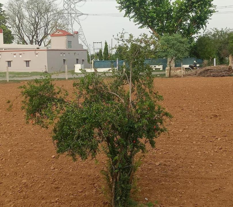 Photo of Others in Kotputli