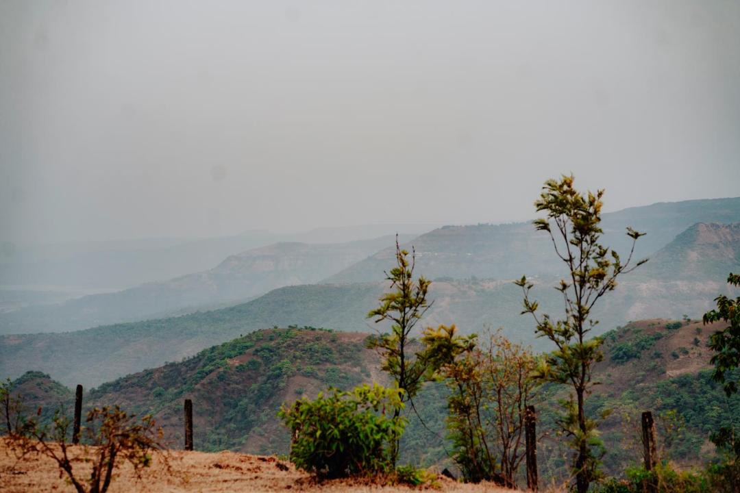 Photo of Others in Mahabaleshwar