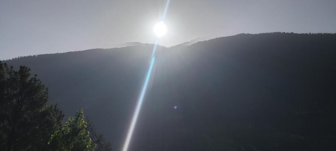 Photo of Others in Mohal