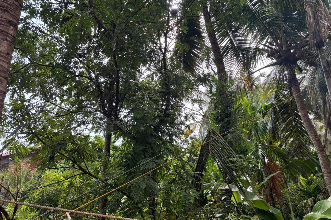 Photo of Others in Honavar