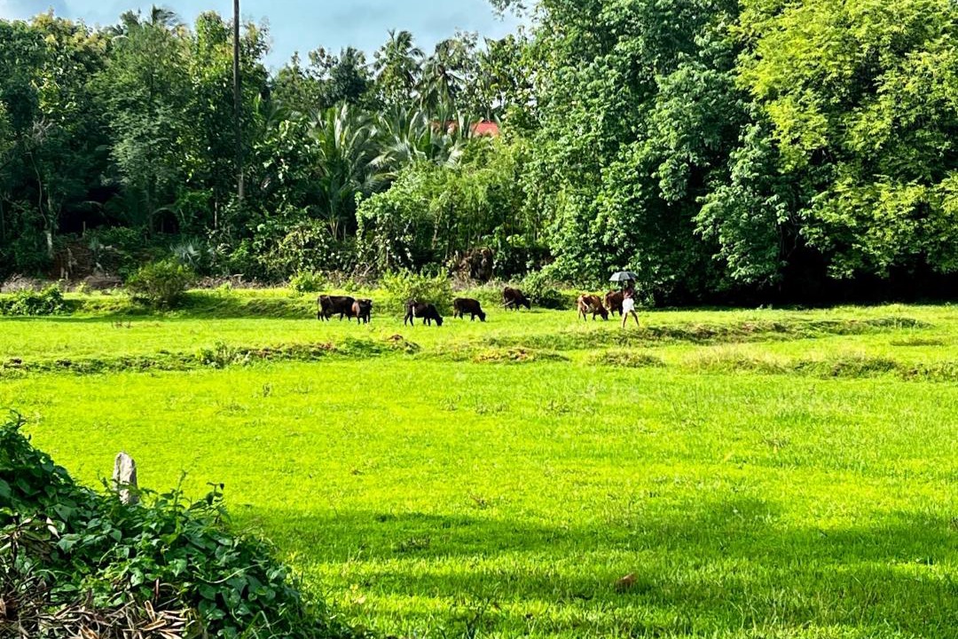 Photo of Others in Alattur
