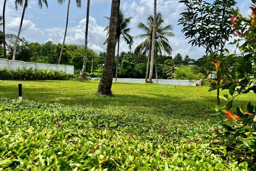 Photo of Others in Alattur