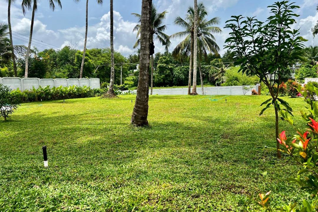 Photo of Others in Alattur