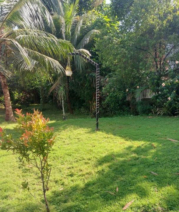 Photo of Outdoor in Angamali