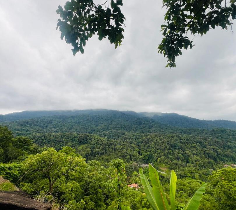 Photo of Others in Madikeri