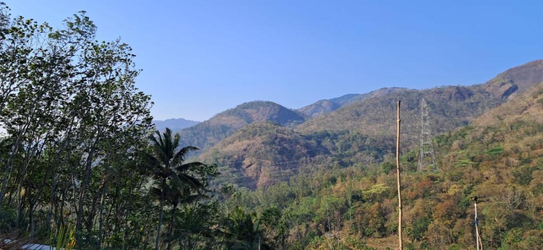 Photo of Others in Punalur