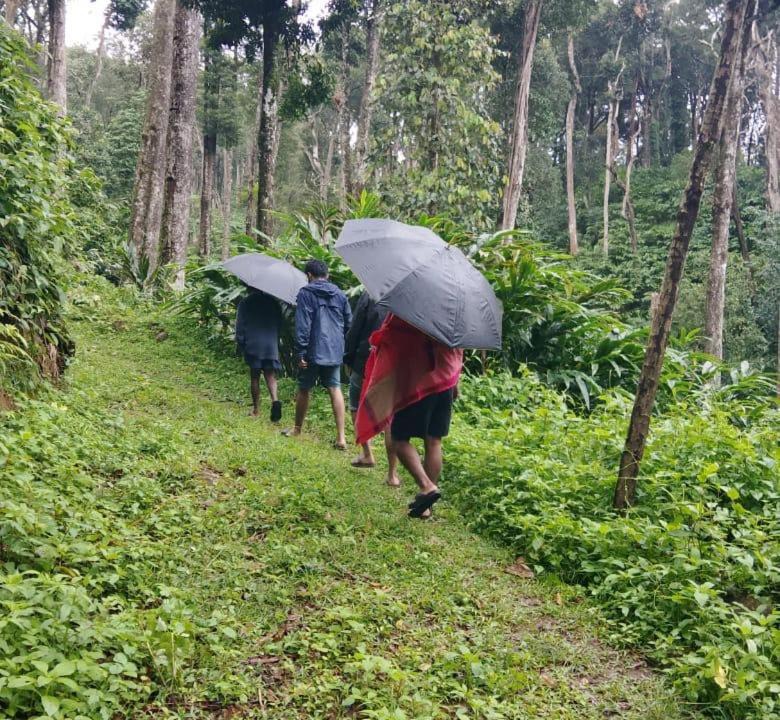 Photo of Outdoor in Devikolam