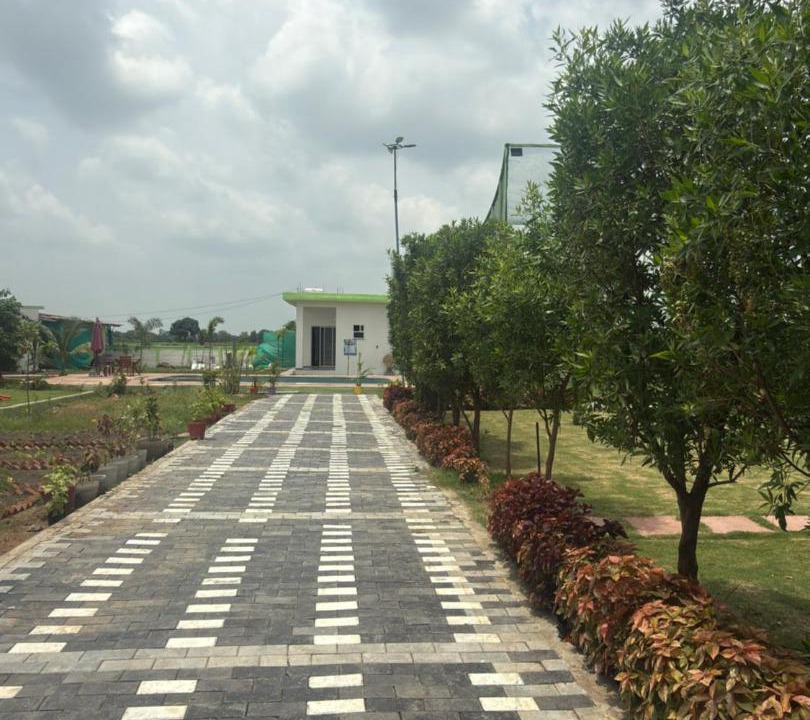 Photo of Others in Bhopal
