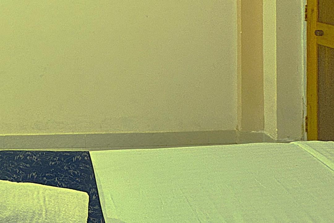 Photo of Others in Biaora
