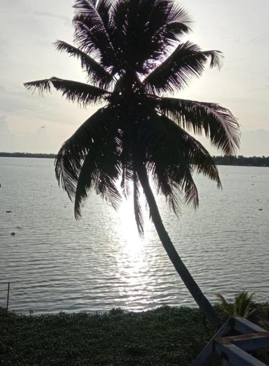 Photo of Others in Kumbalangi