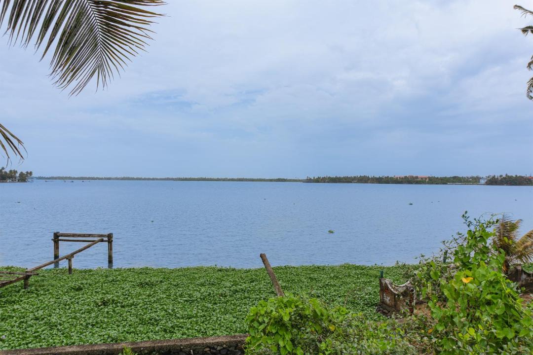 Photo of Others in Kumbalangi