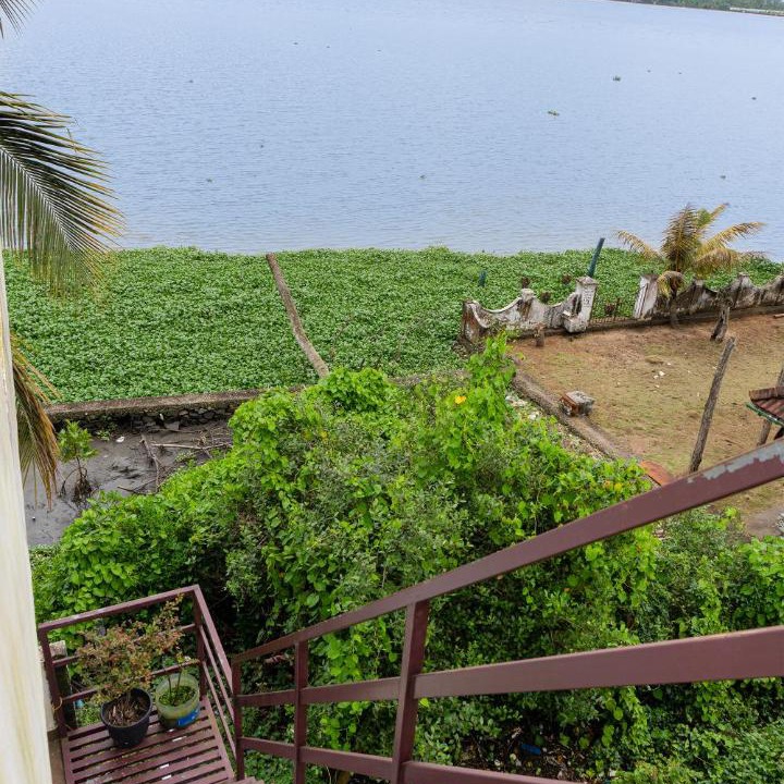 Photo of Others in Kumbalangi