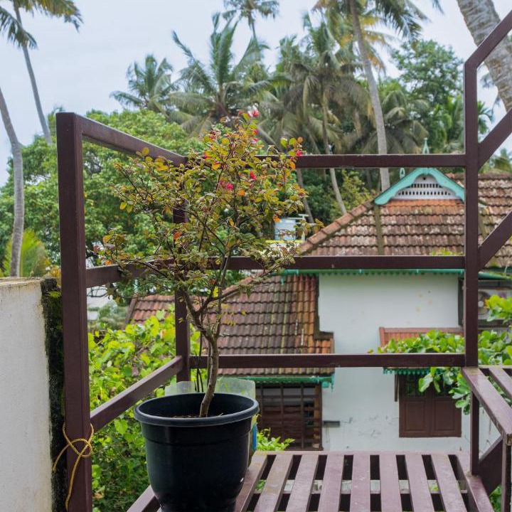 Photo of Others in Kumbalangi
