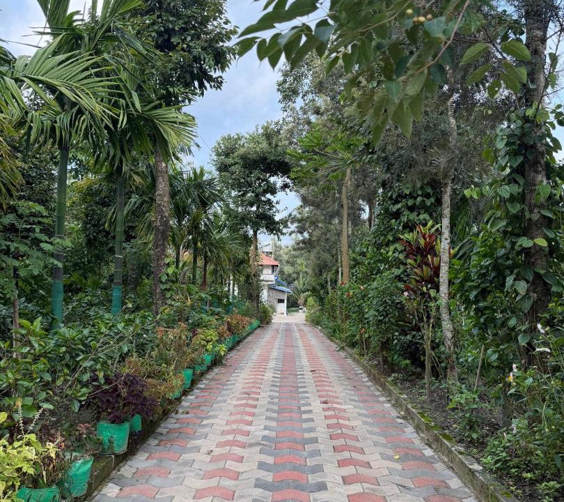 Photo of Outdoor in Belur