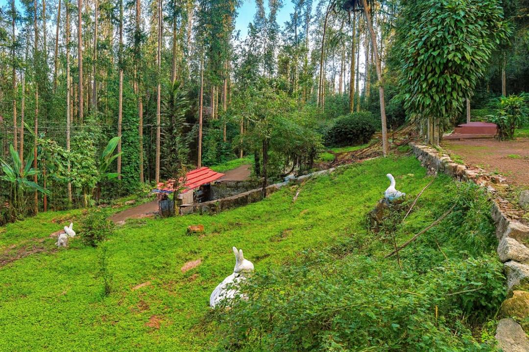 Photo of Others in Yercaud