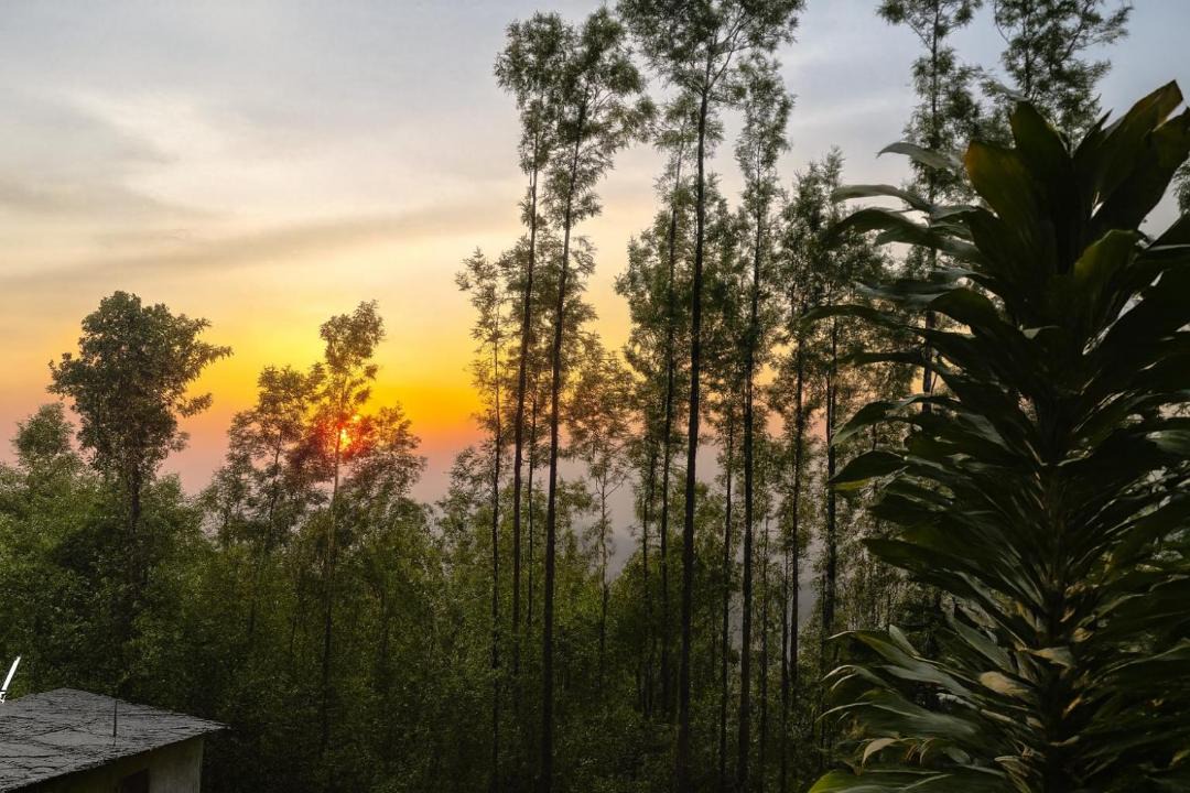 Photo of Others in Yercaud