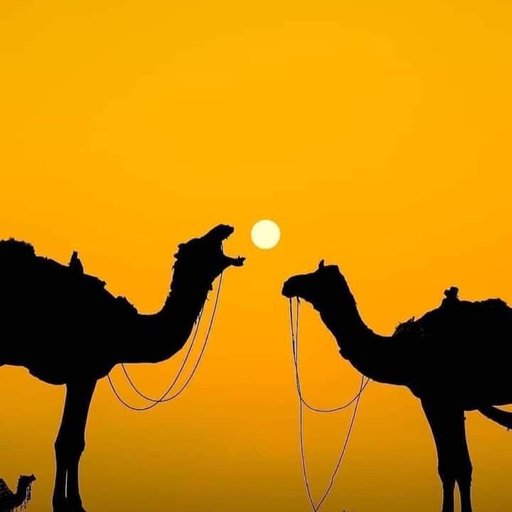 Photo of Others in Jaisalmer