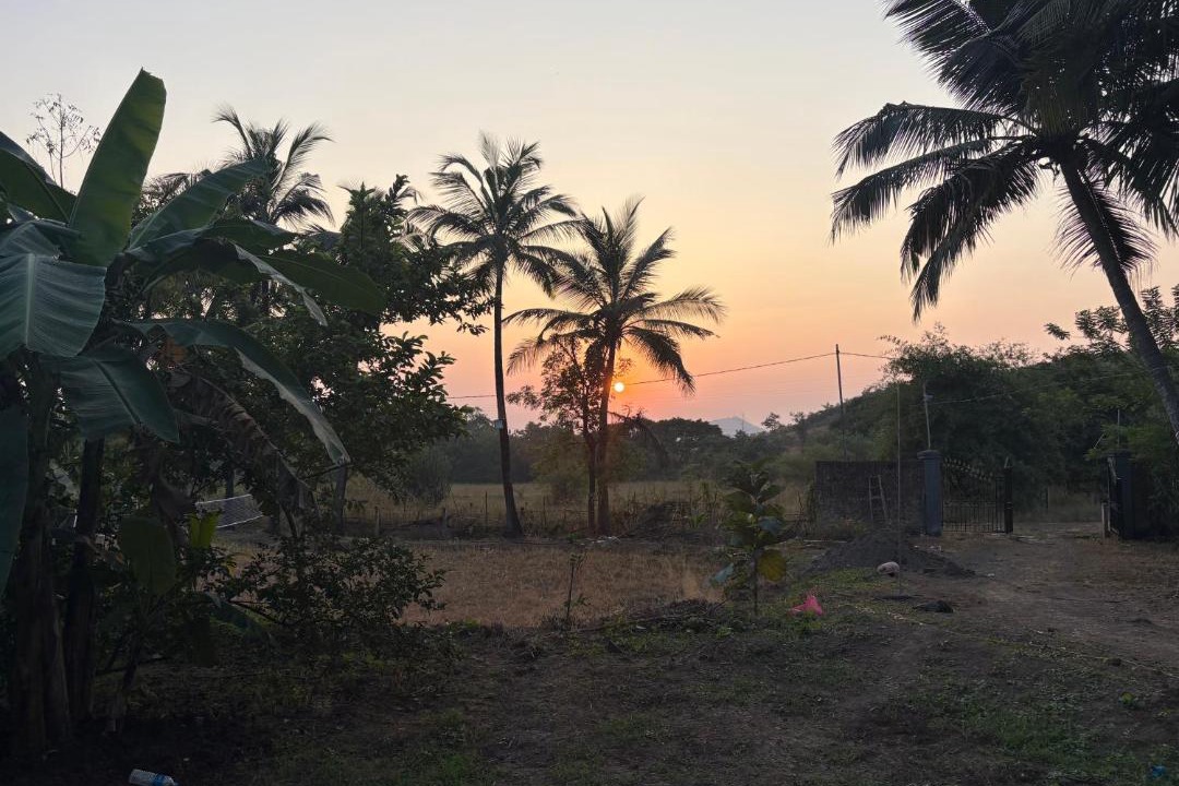 Photo of Others in Palghar