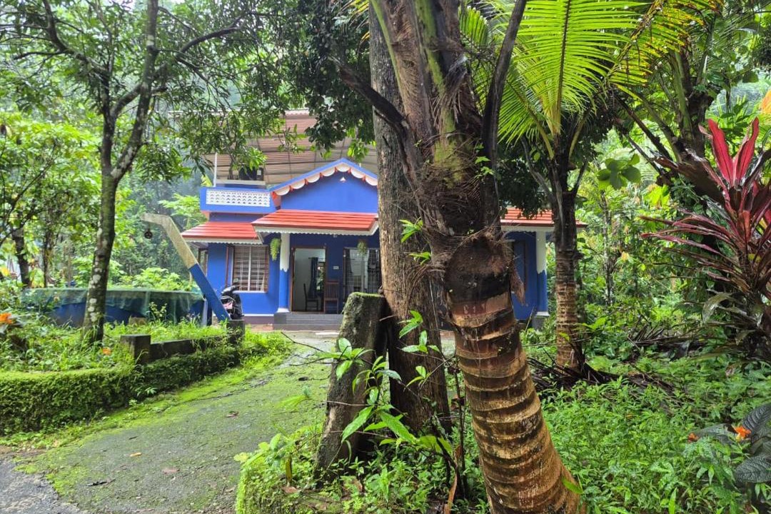 Photo of Others in Devikolam