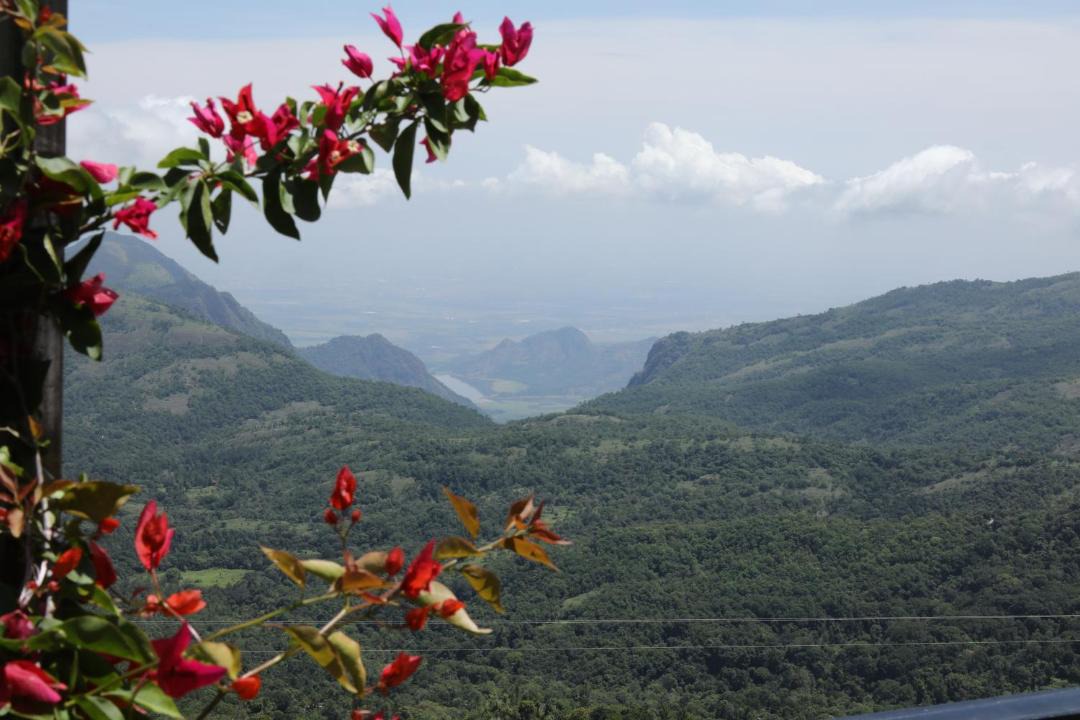 Photo of Others in Kodaikanal