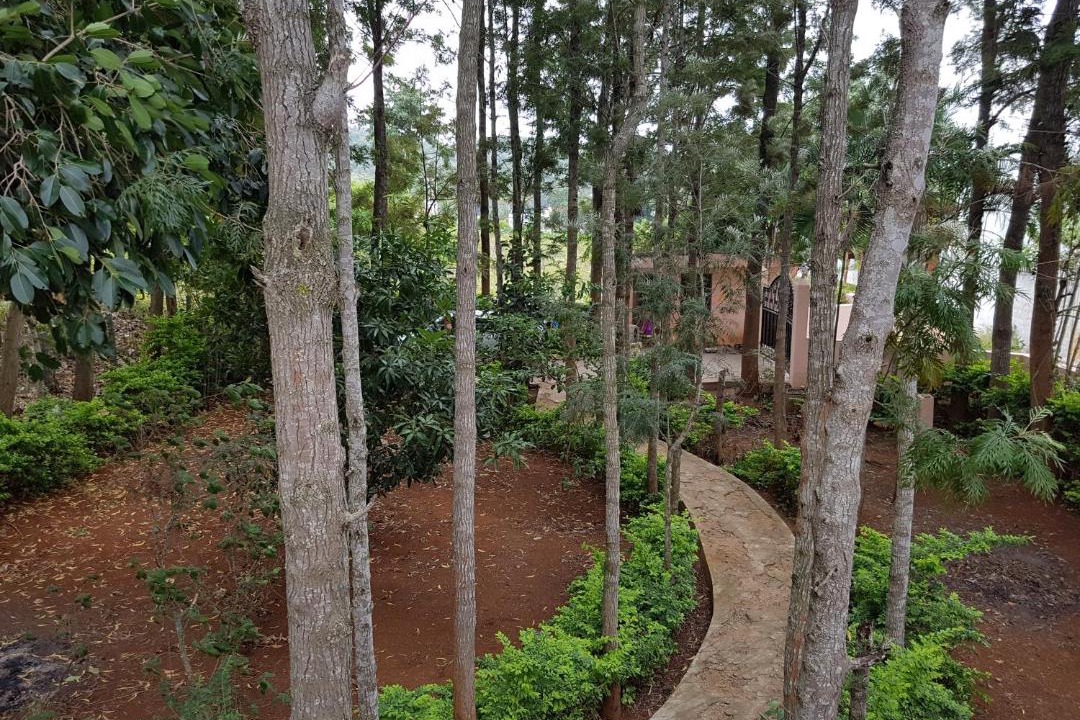 Photo of Others in Yelagiri