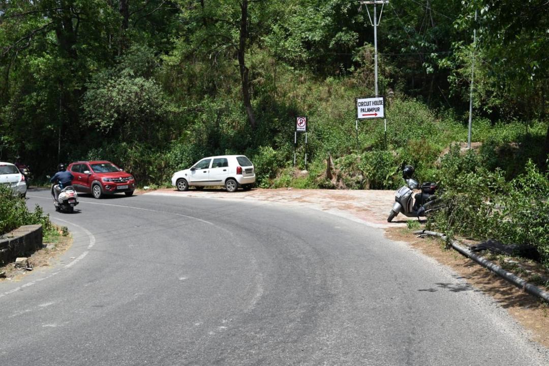 Photo of Others in Palampur